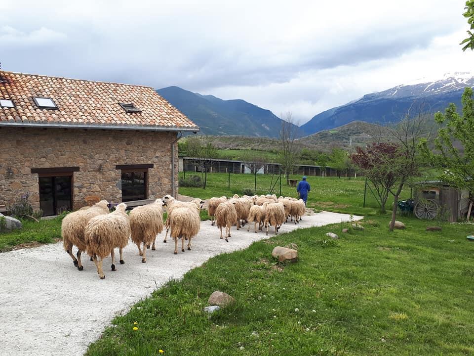 Albergue A'Noguera Кастьельо-де-Хака Экстерьер фото