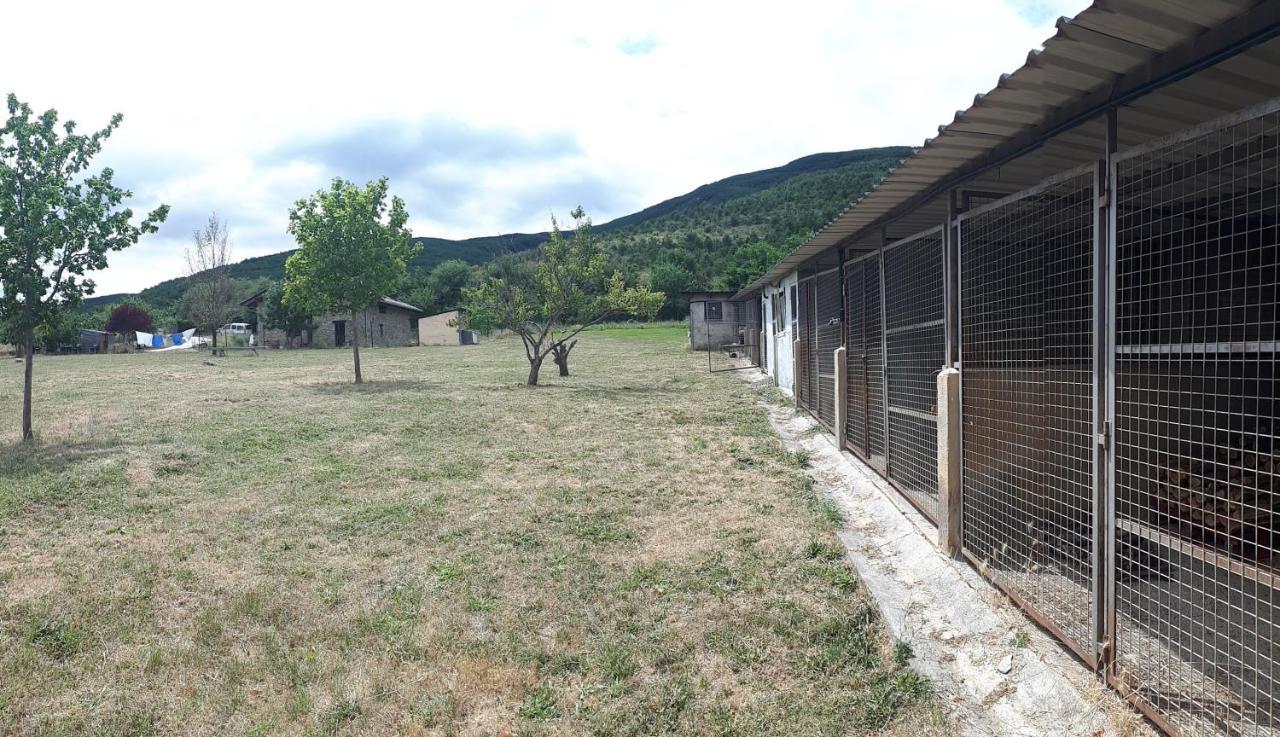 Albergue A'Noguera Кастьельо-де-Хака Экстерьер фото
